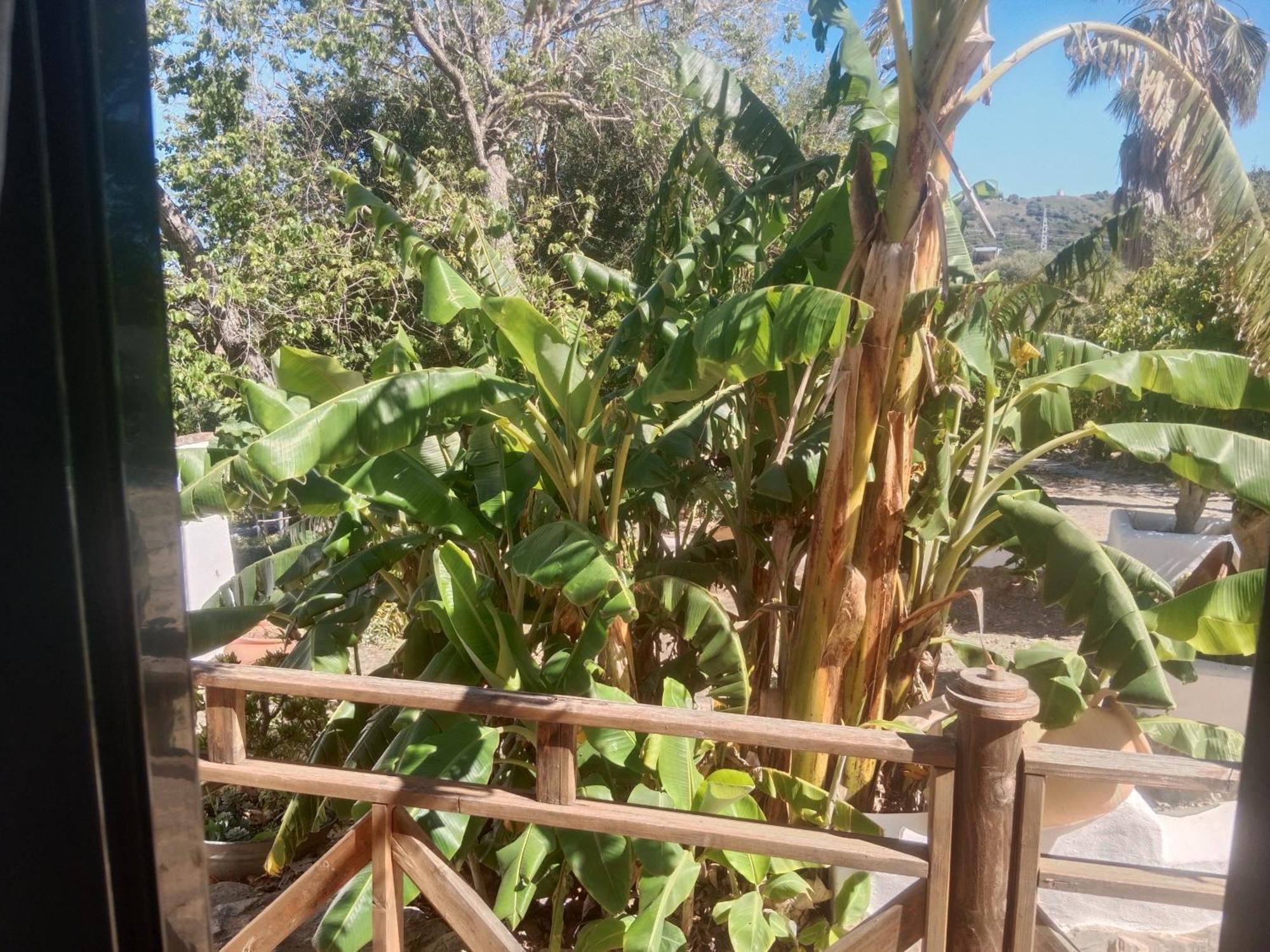 Casa Rural El Cubillo 贝赫尔-德拉弗龙特拉 外观 照片
